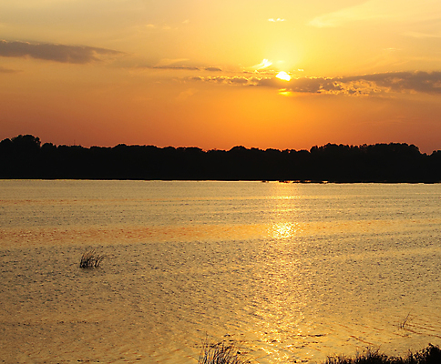 포토 JPG 해외이미지 구름 바다 백그라운드 밭 자연 하늘 따뜻함 풍경 사람없음 물 뷰티 반사 일출 일몰 안개 숲 해외포토 자연요소 농업 날씨 노을 생태계 파일형식 이미지허브