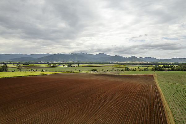 포토 JPG 해외이미지 나무 식물 구름 선 패턴 밭 자연 지팡이 추상 산 거리 안테나 풍경 사람없음 야외 빨간색 초록색 농장 농경지 흙 시골 호주 땅 질감 내추럴 대칭 드론 밭일 사탕수수 내려보기 해외포토 자연요소 컬러 무늬 농업 통신 모션 오세아니아 생태계 파일형식 이미지허브