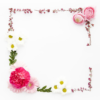 포토 JPG 해외이미지 사각프레임 실내 사람없음 하이앵글 흰배경 꽃프레임 카피스페이스 해외포토 꽃 뷰포인트 백그라운드 프레임 내부 사각형 공백 흰색 파일형식 이미지허브