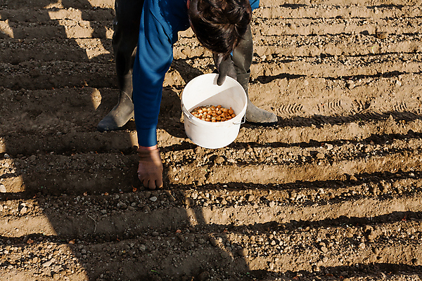 포토 JPG 해외이미지 식물 백인 라이프스타일 손 계절 여자 행복 음식 백그라운드 꽃무늬 농업 자연 건강 사람 성인 취미 사람없음 야외 초록색 농장 정원 봄 성장 신선 잡기 업무 작업 꽃집 유기농 원예 내추럴 돌봄 심기 원예사 해외포토 서양인 직업 웰빙 꽃 감정 산업 컬러 무늬 모션 생활 신체부위 상점 생태계 파일형식 이미지허브