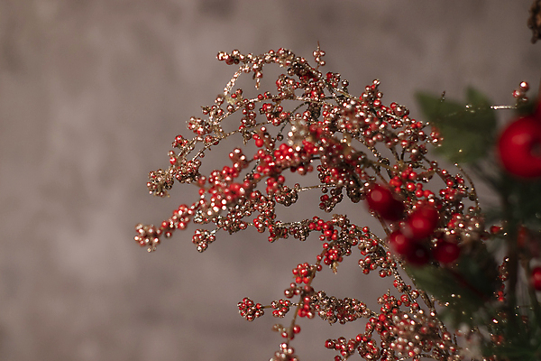 포토 JPG 해외이미지 식물 라이프스타일 디자인 계절 열매 꽃 벽 꽃다발 컨셉 크리스마스 꽃무늬 과일 자연 주택 실내 미술 사람없음 내부 장식 빨간색 여름 축제 봄 수확 나뭇가지 신용카드 다발 배열 허브 묘사 내추럴 구성 정물화 카피스페이스 미니멀 해외포토 나무 기념일 컬러 무늬 농업 문화예술 건물 생활 금융 공백 그림 생태계 파일형식 이미지허브