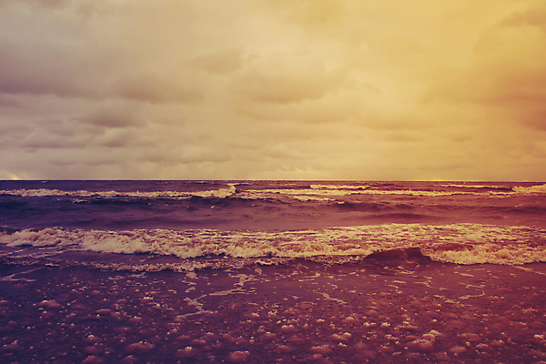 포토 JPG 해외이미지 나무 식물 계절 공원 실루엣 모래 바다 섬 여행 컨셉 겨울 자연 하늘 날씨 추상 휴가 휴식 아이디어 기술 사람없음 야외 가로 물 파란색 빛 햇빛 뷰티 냉동 얼음 검은색 침묵 추위 나뭇가지 시간 숲 무서움 질감 서리 내추럴 벌거벗은 옛날 해외포토 자연요소 공공시설 감정 컬러 무늬 촬영기법 태양 소리 생태계 파일형식 이미지허브