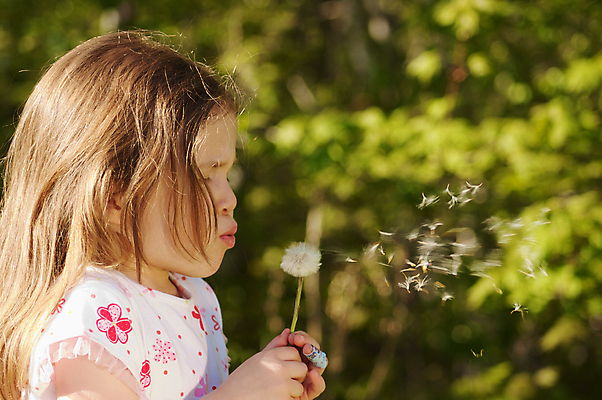 포토 JPG 해외이미지 꽃 행복 어린이 놀이 한명 미소 민들레 해외포토 식물 1 감정 표정 사람 파일형식 이미지허브