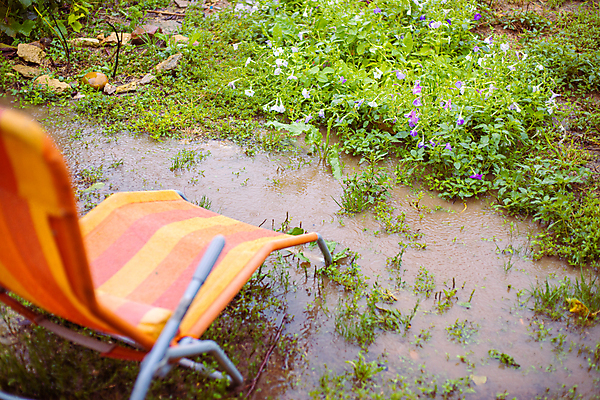 포토 JPG 해외이미지 식물 디자인 계절 공원 꽃 백그라운드 컨셉 단풍 패턴 자연 벽지 표면 날씨 추상 휴식 사람없음 야외 초록색 물 정원 젖음 물방울 시골 떨어짐 질감 웅덩이 야외의자 해외포토 자연요소 공공시설 컬러 잎 무늬 의자 생태계 파일형식 이미지허브