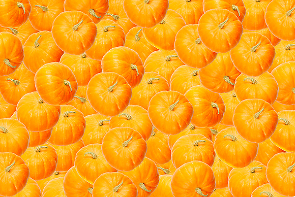 포토 JPG 해외이미지 패턴 호박 사람없음 겹침 해외포토 무늬 채소 파일형식 이미지허브