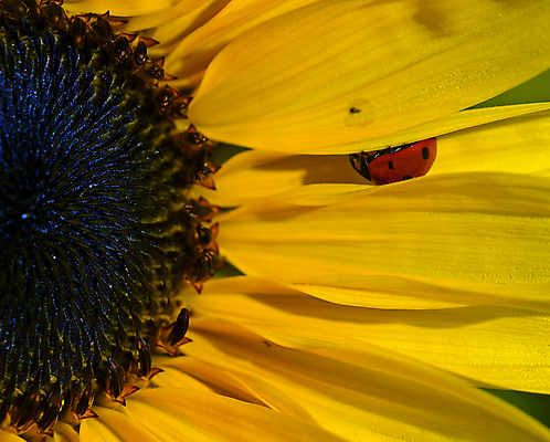 포토 JPG 해외이미지 사람없음 해외포토 파일형식 이미지허브
