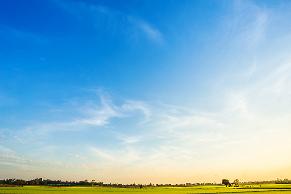 포토 JPG 해외이미지 계절 백그라운드 오렌지 자연 벽지 하늘 아침 날씨 사람없음 야외 파란색 빛 컬러풀 햇빛 태양 뷰티 노란색 평화 우주 일출 맑음 일몰 봄 새벽 자유 시골 분위기 황금 저녁 장면 스카이라인 내추럴 수평선 해외포토 주간 자연요소 컬러 컨셉 과일 노을 야간 생태계 파일형식 이미지허브