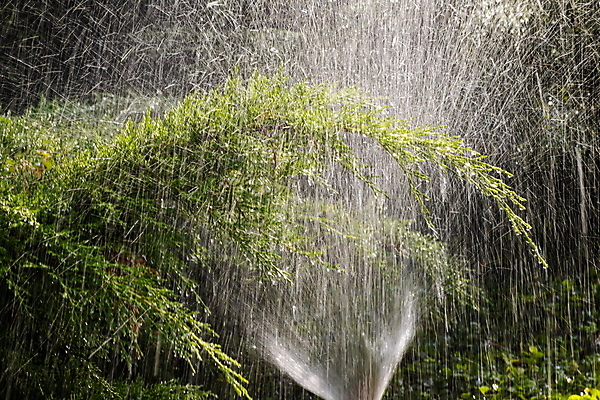 포토 JPG 해외이미지 식물 밭 농업 포장 자연 잔디 사람없음 야외 초록색 물 환경 정원 장비 젖음 성장 물방울 시골 신선 액체 떨어짐 수분 플라스틱 땅 뿌리기 물주기 원예 조경 분무기 시스템 유지 돌봄 샤워실 스프링쿨러 자동 해외포토 자연요소 산업 컬러 컨셉 모션 재질 취미 생태계 샤워시설 파일형식 이미지허브