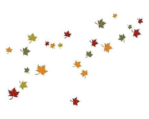 EPS 해외이미지 단풍 낙엽 잎 일러스트 사람없음 엘리먼트 해외일러스트 식물 파일형식 벡터 이미지허브