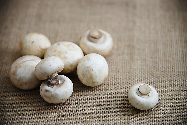 포토 JPG 해외이미지 식물 음식 백그라운드 다이어트 채소 재료 자연 파슬리 건강 요리 사람없음 갈색 식사 버섯 수확 흰색 신선 그룹 칼 맛 정상 자르기 먹기 유기농 날것 슬라이스 내추럴 고립 곰팡이 생식 숙성 식용 정육점 채식주의자 비건 맛있는 해외포토 웰빙 컬러 컨셉 농업 모션 상점 생태계 채식 파일형식 이미지허브