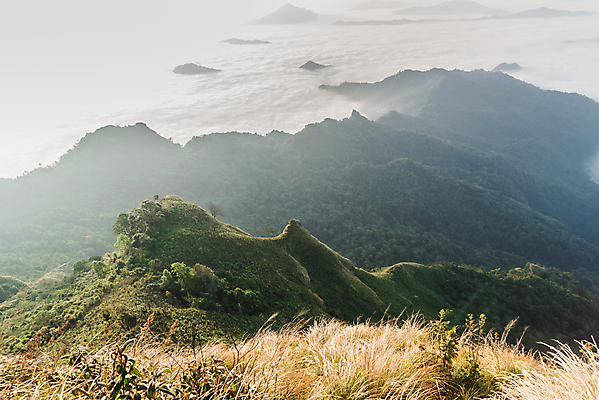 포토 JPG 해외이미지 구름 공원 여행 백그라운드 자연 아침 산 풍경 사람없음 초록색 여름 뷰티 일출 환경 계곡 어둠 일몰 봄 새벽 안개 시골 연기 숲 큼 언덕 북쪽 넘어짐 뿌연 삼림지대 전국 절정 해외포토 주간 자연요소 계절 공공시설 컬러 모션 날씨 노을 크기 방향 생태계 파일형식 이미지허브