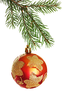 포토 JPG 해외이미지 나무 전통 계절 별 백그라운드 크리스마스 겨울 공 유리 휴가 매달리기 사람없음 장식 가로 빨간색 초록색 빛 축제 장식볼 흰색 나뭇가지 축하 소나무 원형 화려 황금 12월 오브젝트 슛 상록수 침엽수 전나무 고립 여의주 가문비나무 해외포토 자연요소 도형 식물 기념일 컬러 컨셉 모션 재질 날짜 파일형식 이미지허브