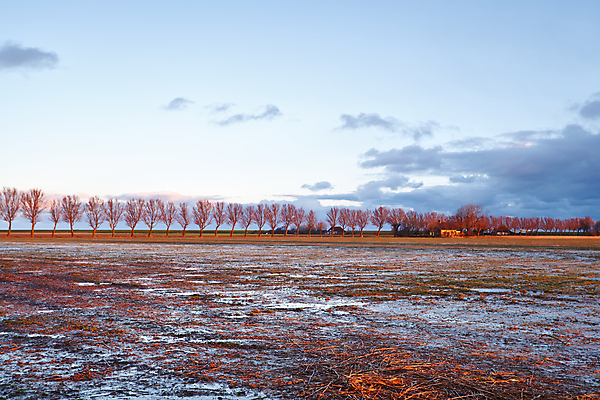 포토 JPG 해외이미지 나무 구름 문화 여행 밭 자연 하늘 아침 추상 주택 풍경 초원 사람없음 야외 건물 햇빛 농가 농장 농경지 일출 시골 만취 속도 네덜란드 심플 줄서기 평야 수평선 해외포토 주간 자연요소 식물 건축물 유럽 무늬 농업 모션 태양 노을 생태계 술취함 파일형식 이미지허브