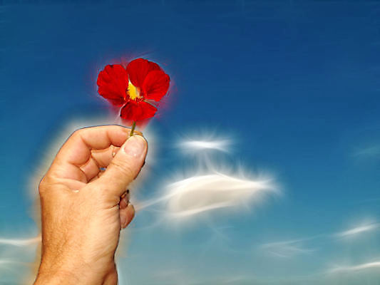 포토 JPG 해외이미지 식물 손 디자인 꽃 행복 꽃무늬 일러스트 자연 사람 사람없음 야외 장식 빨간색 태양 뷰티 자유 시골 장면 양귀비 해외포토 자연요소 감정 컬러 컨셉 무늬 신체부위 생태계 파일형식 이미지허브