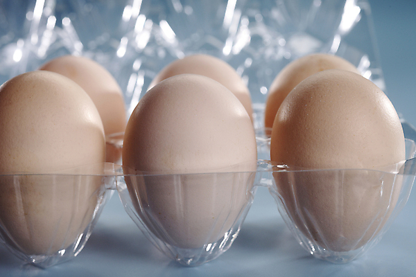 포토 JPG 해외이미지 실내 사람없음 아웃포커스 계란 파란배경 계란판 해외포토 백그라운드 촬영기법 내부 파란색 알 파일형식 이미지허브