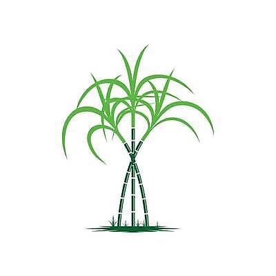 EPS 해외이미지 나무 식물 배너 음식 백그라운드 스티커 잎 밭 채소 일러스트 재료 자연 지팡이 추상 건강 손바닥 초록색 농작물 세트 농장 라벨 환경 주스 수확 성장 신선 달콤 상품 설탕 허브 심볼 사인 유기농 내추럴 고립 바이오 사탕수수 세련 해외일러스트 손 웰빙 음료 컬러 무늬 농업 프레임 맛 생태계 파일형식 벡터 이미지허브