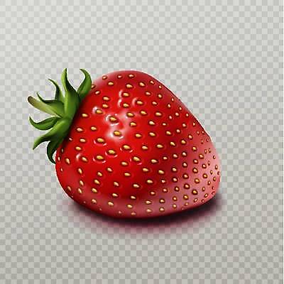 EPS 해외이미지 일러스트 딸기 사람없음 빨간색 투명 해외일러스트 컬러 과일 파일형식 벡터 이미지허브