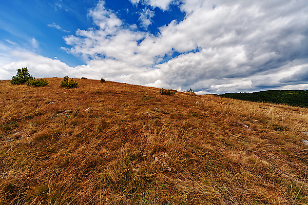 포토 JPG 해외이미지 나무 계절 공원 여행 오렌지 자연 하늘 산 사람없음 야외 초록색 파란색 빛 햇빛 태양 노란색 우주 환경 황금 숲 언덕 내추럴 세르비아 전국 해외포토 자연요소 식물 공공시설 컬러 과일 생태계 파일형식 이미지허브
