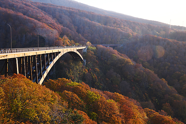 포토 JPG 해외이미지 주간 단풍 자연 산 풍경 사람없음 야외 가을풍경 일본 가을 가교 아오모리 해외포토 자연요소 건축물 계절 아시아 잎 생태계 파일형식 가을_계절 이미지허브