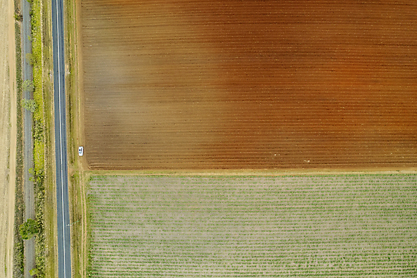 포토 JPG 해외이미지 식물 도로 선 음식 무늬 패턴 밭 농업 자동차 자연 지팡이 추상 안테나 사람없음 야외 빨간색 초록색 농장 흙 흰색 시골 고속도로 호주 농부 땅 설탕 질감 먼지 내추럴 대칭 드론 땅바닥 밭일 선로 직진 사탕수수 내려보기 헤드랜드 해외포토 직업 산업 길 육상교통 컬러 통신 교통시설 모션 바닥 오세아니아 생태계 파일형식 이미지허브