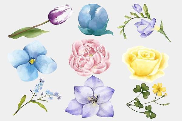 EPS 해외이미지 꽃 줄기 잎 일러스트 사람없음 세트 튤립 꽃봉오리 엘리먼트 해외일러스트 식물 파일형식 벡터 이미지허브