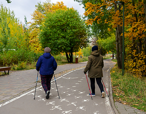 포토 JPG 해외이미지 공원 스포츠 자연 건강 사람 사람없음 걷기 산책 도시 숲 해외포토 공공시설 모션 휴식 생태계 파일형식 이미지허브