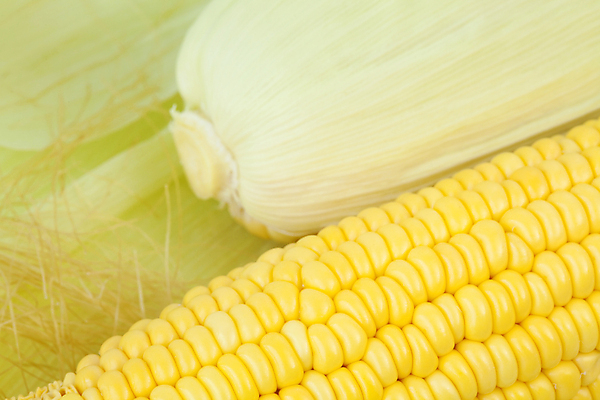 포토 JPG 해외이미지 문화 음식 조각 농업 다이어트 채소 재료 건강 옥수수 요리 사람없음 초록색 농장 노란색 수확 신선 달콤 아침식사 낟알 시리얼 유기농 날것 향기 비타민 내추럴 숙성 채식주의자 맛있는 해외포토 웰빙 산업 컬러 곡류 식사 맛 채식 냄새 영양소 파일형식 이미지허브