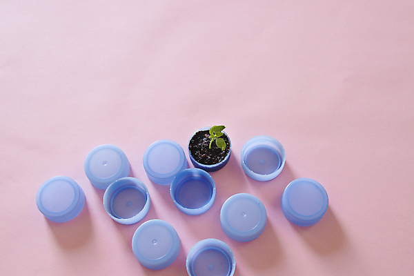 포토 JPG 해외이미지 분홍색 컨셉 사람없음 희망 성장 모종 생태학 정물화 해외포토 교육 감정 컬러 그림 파일형식 이미지허브