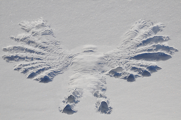 포토 JPG 해외이미지 겨울 자연 천사 사람없음 가로 컬러풀 냉동 추위 흰색 해외포토 계절 컬러 생태계 파일형식 이미지허브