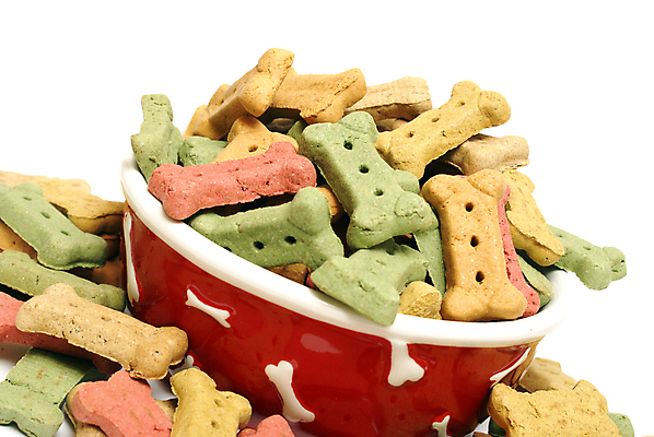 포토 JPG 해외이미지 모양 동물 접시 음식 백그라운드 다이어트 뼈 건조 건강 사람없음 빨간색 초록색 반려동물 컬러풀 갈색 쌓기 쿠키 식사 저녁식사 기차 흰색 대접 최고 그룹 사발 닫기 개 치아 먹이 먹기 배고픔 가득함 모음 송곳니 돌봄 영양소 칭찬 많음 해외포토 식기 육상교통 컬러 컨셉 포유류 모션 디저트 대중교통 소화기관 사기그릇 파일형식 이미지허브