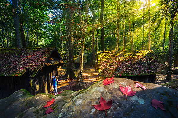 포토 JPG 해외이미지 나무 식물 계절 공원 아시아 여행 백그라운드 단풍 잎 건축양식 태국 자연 지붕 산 주택 이끼 동양인 사람없음 목재 빨간색 초록색 빛 컬러풀 햇빛 태양 환경 정원 사진촬영 봄 수확 시골 신선 숲 군용 내추럴 전국 해외포토 자연요소 공공시설 건축 나라 컬러 농업 재료 군대 인종 건물 촬영 생태계 파일형식 이미지허브