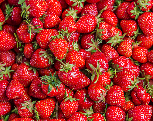 포토 JPG 해외이미지 백그라운드 딸기 사람없음 빨간색 신선 해외포토 컬러 과일 파일형식 이미지허브
