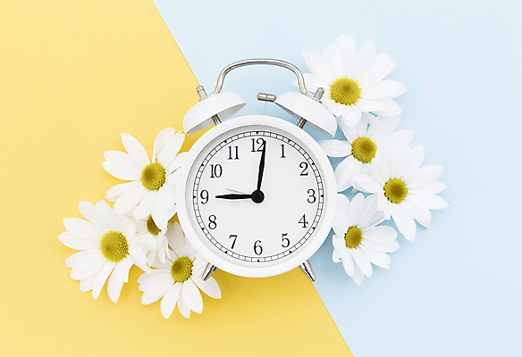 포토 JPG 해외이미지 실내 사람없음 하이앵글 데이지 파란배경 노란배경 해외포토 꽃 뷰포인트 백그라운드 내부 파란색 노란색 파일형식 이미지허브