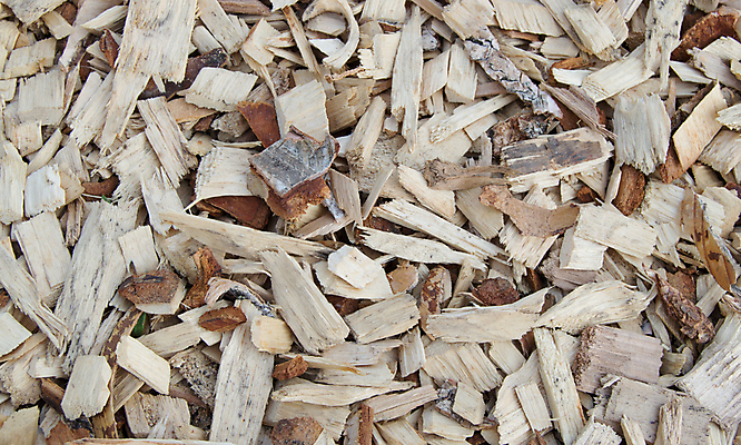 포토 JPG 해외이미지 나무 식물 산업 백그라운드 일러스트 자연 추상 사람없음 목재 갈색 노란색 쌓기 공구 나사 소나무 파편 숲 낟알 자르기 시리얼 목수 발굴 질감 날것 목공예 나무껍질 삭제 부스러기 수목 재 톱밥 해외포토 직업 음식 컬러 무늬 재료 모션 껍질 도구 가루 공예 생태계 파일형식 이미지허브