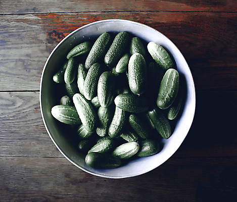 포토 JPG 해외이미지 식물 계절 길 음료 음식 줄기 십자가 잎 농업 다이어트 토마토 채소 과일 재료 부분 자연 오이 함께함 건강 사람없음 가로 초록색 빛 알약 농장 반사 바구니 정원 식사 샐러드 젖음 수확 성장 벚꽃 껍질 시골 신선 원형 고명 떨어짐 작음 먹기 오브젝트 상쾌 유기농 원예 생물학 날것 정사각형 피클 슛 국산 생태학 숙성 온실 채식주의자 세련 개조 해외포토 도형 웰빙 교육 꽃 감정 산업 컬러 컨셉 모션 취미 약 크기 생태계 채식 절임 파일형식 이미지허브