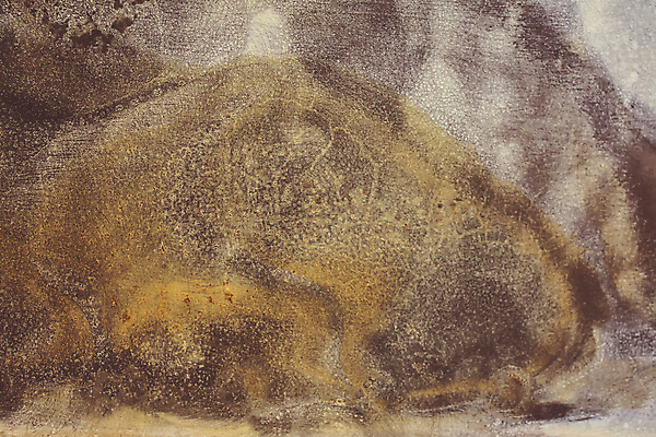 포토 JPG 해외이미지 접시 디자인 산업 벽 백그라운드 패턴 표면 날씨 추상 프레임 사람없음 빨간색 파란색 울타리 갈색 금속 검은색 어둠 페인트 손상 수확 시골 얼룩 거친 보호 철 묘사 부식 질감 복고 보안 청록색 스크래치 무거움 시트 그런지 옛날 철강 해외포토 식기 컬러 컨셉 무늬 농업 재질 안전 담장 무게 파일형식 이미지허브