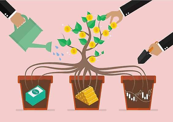 EPS 해외이미지 손 화분 분홍색 지폐 일러스트 그래프 관리 들기 신체부위 금융 경제 동전 물뿌리개 저축 성장 돈다발 모종삽 물주기 투자 뿌리 금괴 분산투자 해외일러스트 컬러 돈 비즈니스 모션 사람 황금 삽 파일형식 벡터 이미지허브