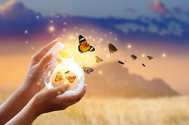 포토 JPG 해외이미지 손 나비 하늘 산 들기 신체부위 반짝임 노을 자유 오픈 공병 해외포토 자연요소 곤충 컨셉 모션 사람 병_담는 파일형식 이미지허브
