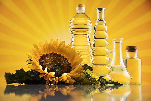 포토 JPG 해외이미지 유리병 해바라기 실내 사람없음 반사 다양 식용유 올리브오일 유채 페트병 노란배경 오일병 카놀라 해바라기씨유 해외포토 꽃 다수 백그라운드 병_용기 내부 노란색 기름_음식 병_담는 파일형식 이미지허브