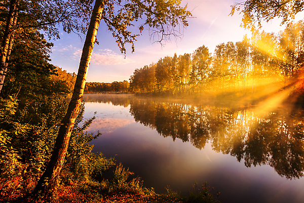 포토 JPG 해외이미지 나무 자연 하늘 사람없음 야외 강 햇빛 태양 일몰 해외포토 자연요소 식물 노을 생태계 파일형식 이미지허브