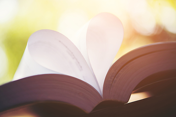 포토 JPG 해외이미지 모양 디자인 교육 종이 백그라운드 컨셉 자연 추상 발렌타인데이 사랑 사람없음 책 독서 수확 하트 오픈 도서관 소프트포커스 페이지 구성 옛날 스타일 해외포토 감정 무늬 농업 데이이벤트 촬영기법 생태계 파일형식 이미지허브