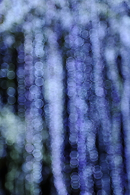 포토 JPG 해외이미지 디자인 줄 백그라운드 크리스마스 겨울 추상 휴가 전등 조명 새로움 사람없음 장식 빨간색 파란색 빛 컬러풀 검은색 축제 흰색 축하 원형 야간 소프트포커스 번개 연도 질감 보케 마법 빛망울 광 블러 주도 효과 해외포토 자연요소 도형 계절 기념일 컬러 컨셉 무늬 날씨 촬영기법 예절 파일형식 이미지허브