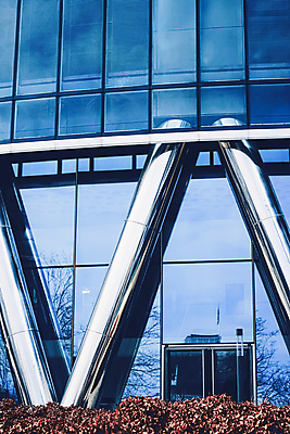 포토 JPG 해외이미지 주간 나무 빌딩 사람없음 야외 건물 반사 문 해외포토 자연요소 식물 건축물 파일형식 이미지허브