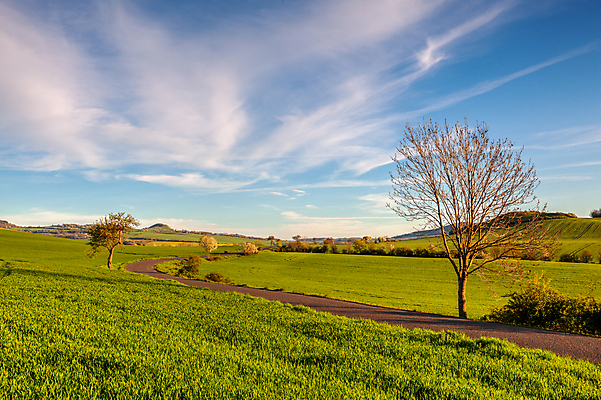 포토 JPG 해외이미지 나무 공원 유럽 여행 백그라운드 자연 하늘 산 사람없음 야외 초록색 파란색 빛 태양 여행객 계곡 봄 하이킹 시골 행운 숲 큼 언덕 화산 지역 체코 내추럴 산악지대 보헤미아 전국 해외포토 자연요소 식물 계절 공공시설 나라 컬러 컨셉 레저 사람 크기 생태계 파일형식 이미지허브