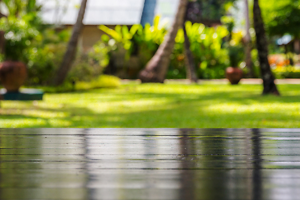 포토 JPG 해외이미지 나무 디자인 백그라운드 잎 자연 탁자 표면 추상 휴식 바닥 손바닥 사람없음 야외 목재 초록색 여름 우주 정원 널 상품 정상 소프트포커스 갑판 계산대 책상 질감 레이아웃 보케 코코넛 블러 해외포토 식물 손 계절 컬러 가구 컨셉 무늬 배_교통 과일 재료 촬영기법 생태계 파일형식 이미지허브