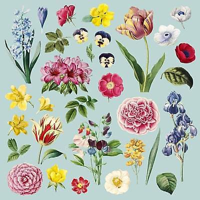 EPS 해외이미지 식물 꽃 백그라운드 잎 일러스트 타이포그라피 사람없음 파란색 세트 튤립 그림 작약 스타일 해외일러스트 문자 컬러 파일형식 벡터 이미지허브