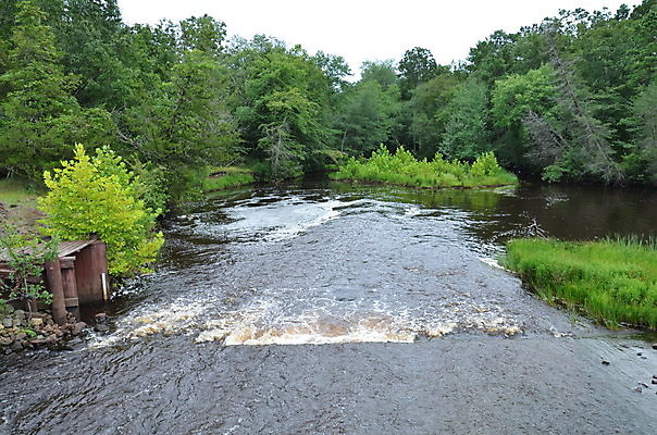 포토 JPG 해외이미지 나무 식물 자연 사람없음 야외 초록색 물 강 흐름 개울 급류 해외포토 자연요소 컬러 컨셉 생태계 파일형식 이미지허브
