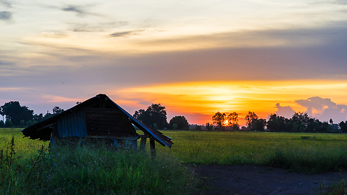 포토 JPG 해외이미지 나무 식물 구름 계절 여행 백그라운드 밭 농업 태국 자연 하늘 밥 휴가 휴식 동양인 풍경 사람없음 야외 초록색 여름 파란색 빛 햇빛 태양 일몰 흰색 시골 오두막 방법 해외포토 자연요소 산업 아시아 음식 컬러 컨셉 인종 노을 생태계 파일형식 이미지허브
