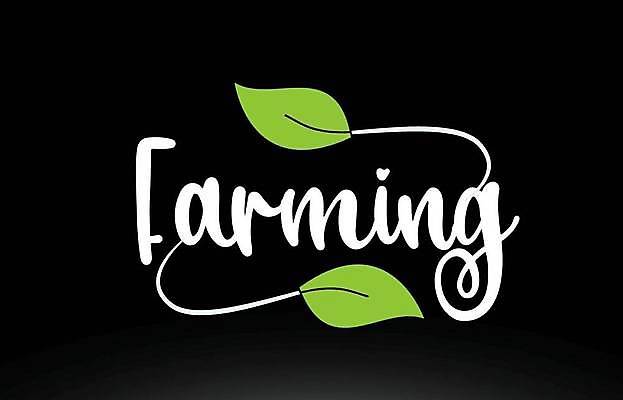 EPS 해외이미지 모양 템플릿 손 디자인 백그라운드 잎 일러스트 회사 텍스트 추상 타이포그라피 초록색 단어 기록 신용카드 심볼 신분 밭일 엘리먼트 활자 레터링 해외일러스트 식물 문자 컬러 무늬 비즈니스 신체부위 금융 활자판 파일형식 벡터 이미지허브