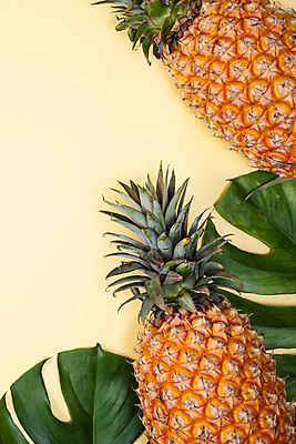 포토 JPG 해외이미지 실내 사람없음 하이앵글 파인애플 열대과일 노란배경 몬스테라 제철과일 해외포토 식물 뷰포인트 백그라운드 과일 내부 노란색 제철 파일형식 이미지허브